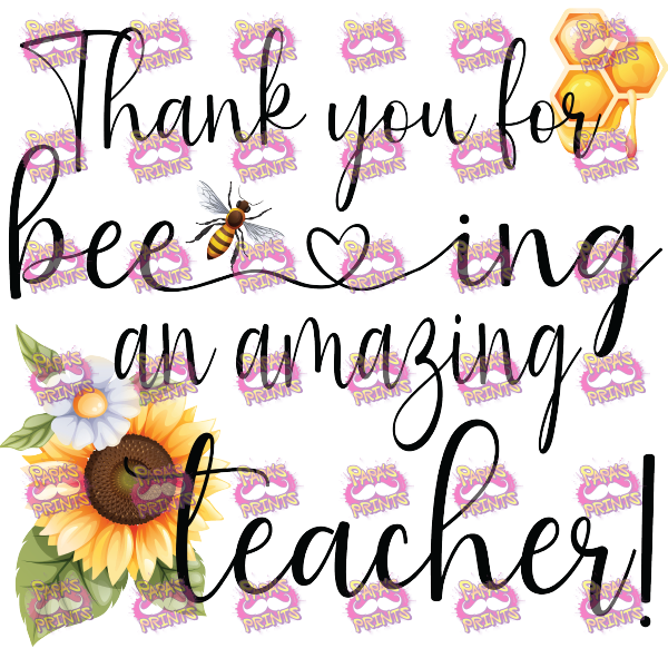 An Amazing Teacher