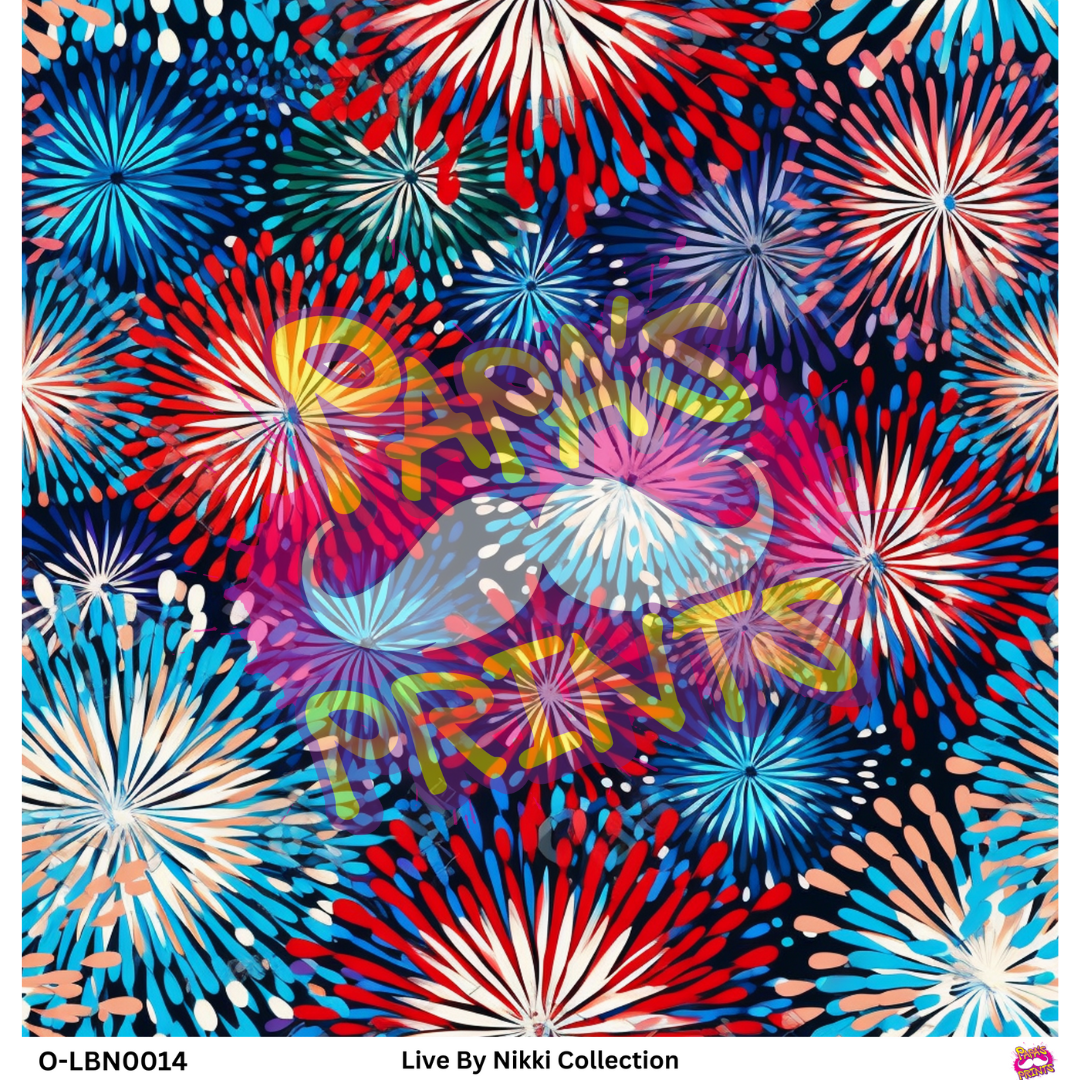 4th of July Fireworks Vinyl