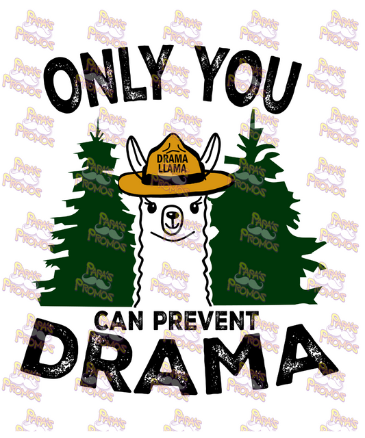 Only You Can Prevent Drama Damn Good Decal